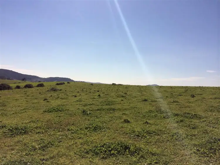 Third view of Homely rural property listing, Lot 1 Back Sandy Gully Road, Adelong NSW 2729