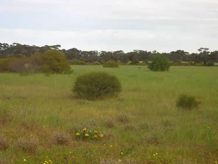 Fourth view of Homely land listing, Sec 530 Gory Road, Owen SA 5460