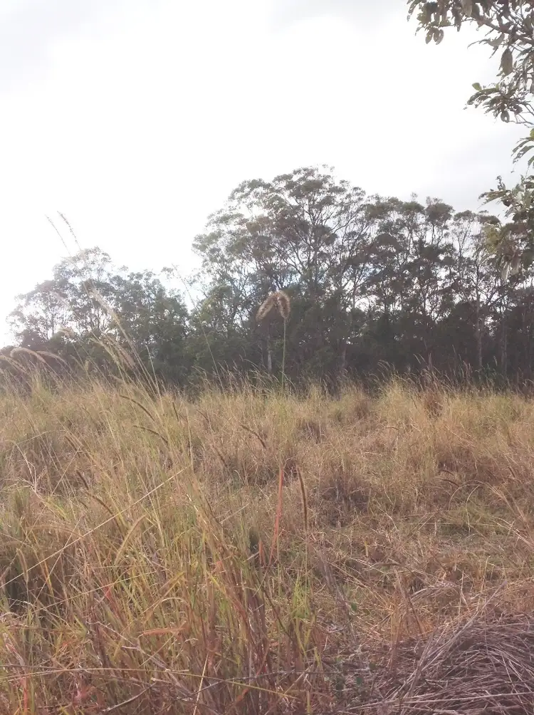 Fourth view of Homely land listing, Lot 2 Hose Rd, East Deep Creek QLD 4570