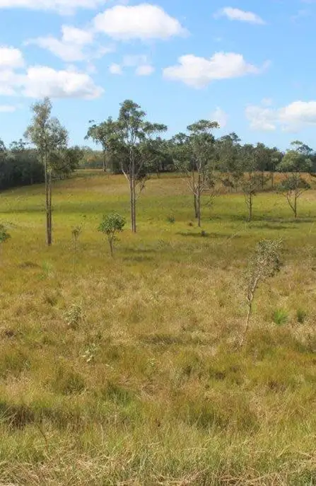 Sixth view of Homely rural property listing, JULATTEN PARK Euluma Creek Road, Julatten QLD 4871