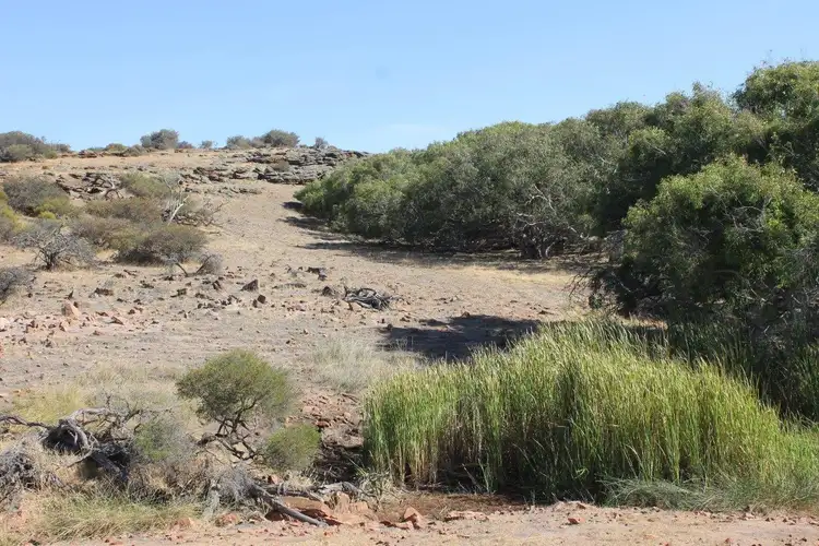 Seventh view of Homely rural property listing, Lot 25 Willigulli Road, Sandy Gully WA 6535