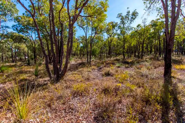 Main view of Homely land listing, 283 Forrest Hills View, Bindoon WA 6502