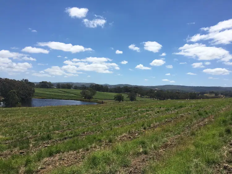 Fifth view of Homely land listing, Lot 100 Wenzel Road, Oakbank SA 5243