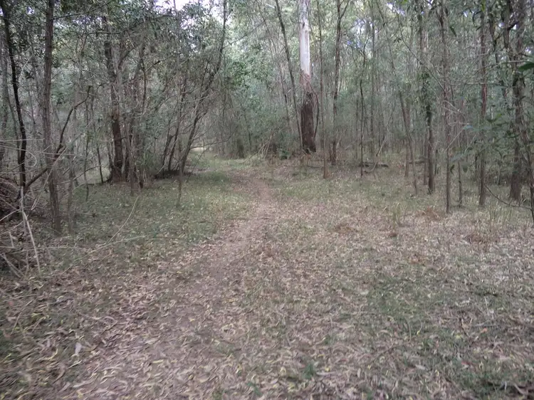 Third view of Homely rural property listing, Lot 38 Upper Fine Flower, Upper Fine Flower NSW 2460