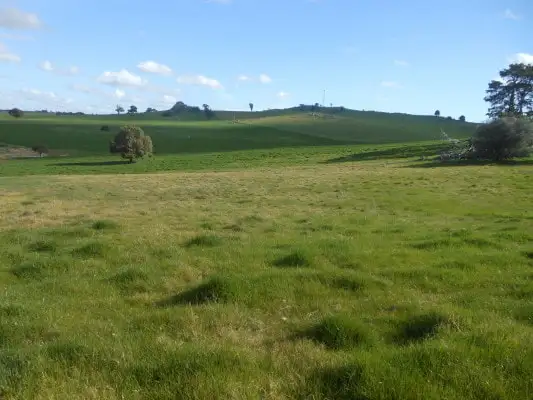Lot 3 360 Robinsons, Young NSW 2594