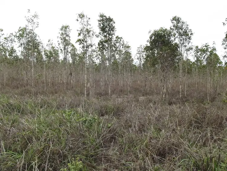 Fourth view of Homely land listing, 38 Blue Mountain Drive, Bluewater Park QLD 4818