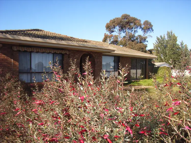 Second view of Homely house listing, 12 Seventh Street, Dublin SA 5501