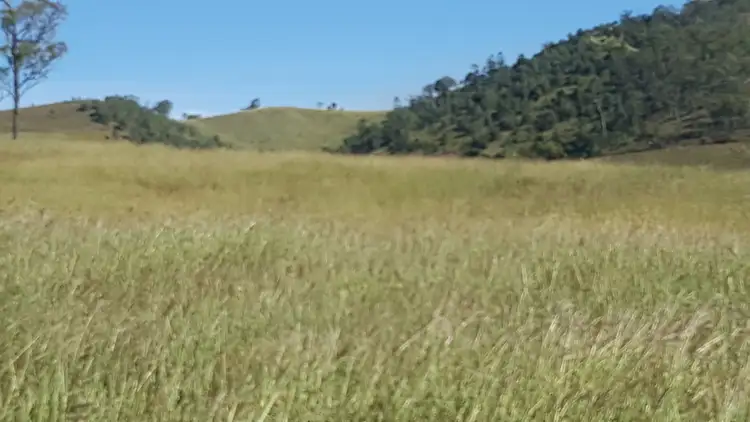 Second view of Homely rural property listing, 1109 Glastonbury Road, Glastonbury QLD 4570