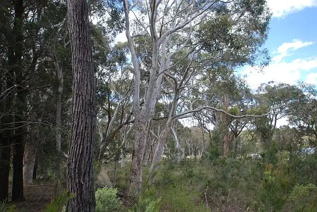Third view of Homely land listing, Lot 1 Bumballa Road, Tallong NSW 2579