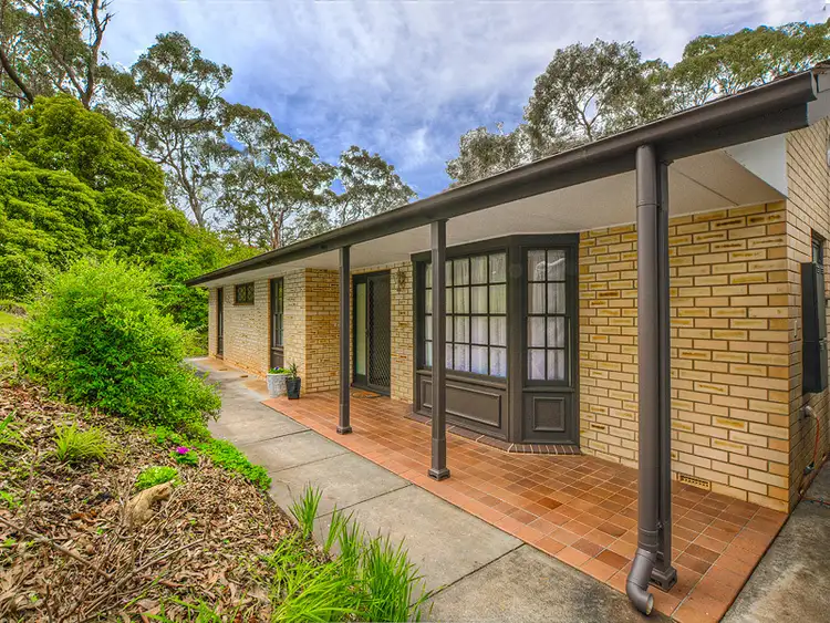 14 Jackson Avenue, Coromandel Valley SA 5051