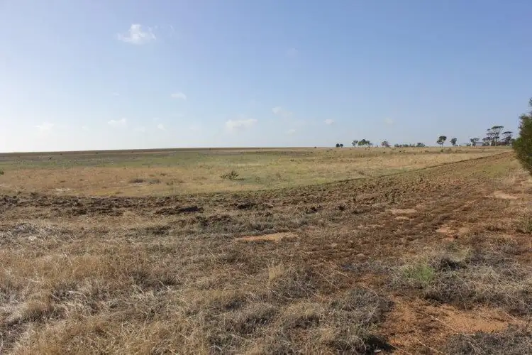 Fifth view of Homely house listing, 1415 Knungajin - Merredin Road, Nukarni WA 6480