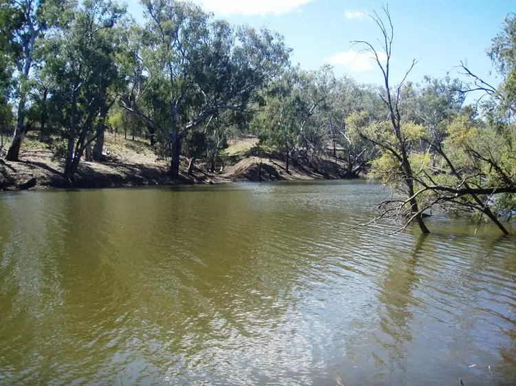 Main view of Homely rural property listing, 2381 Bedwell Downs Rd, Yetman NSW 2410