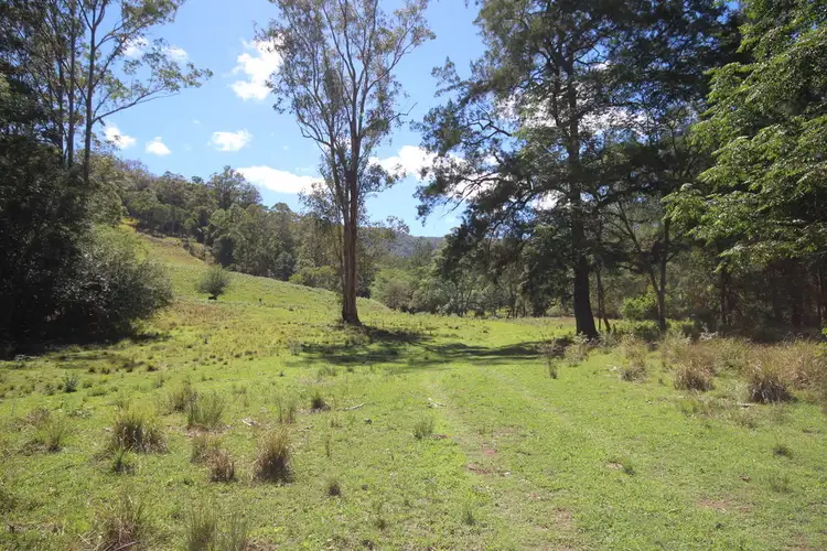 Second view of Homely rural property listing, Lot 133 Forbes River Road, Birdwood NSW 2446