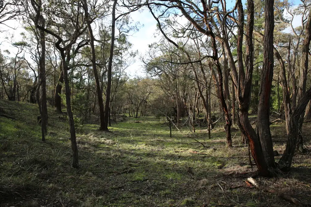 Main view of Homely land listing, Lot 39 Station Lane, Carngham VIC 3351