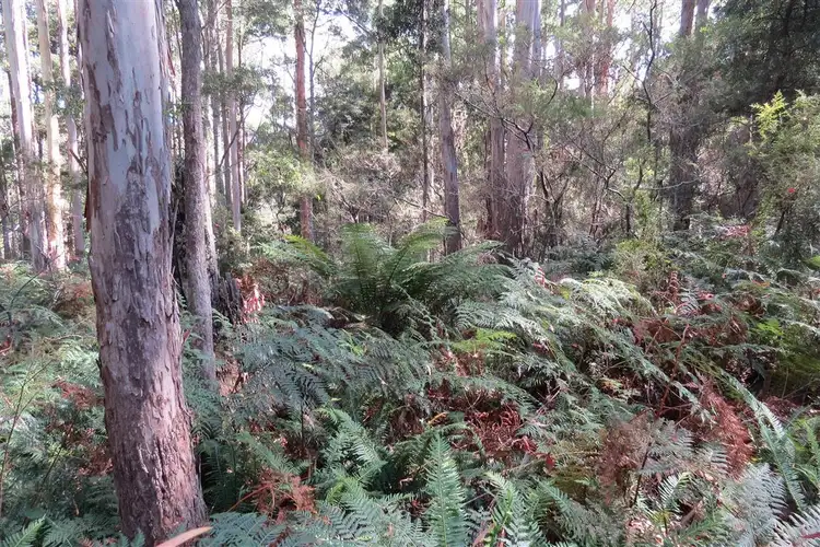 Seventh view of Homely land listing, Lot 1 Lorinna Road, Lorinna TAS 7306