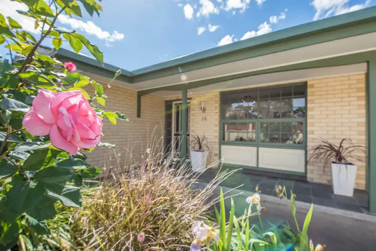 Fourth view of Homely house listing, 14 Austral Terrace, Morphettville SA 5043