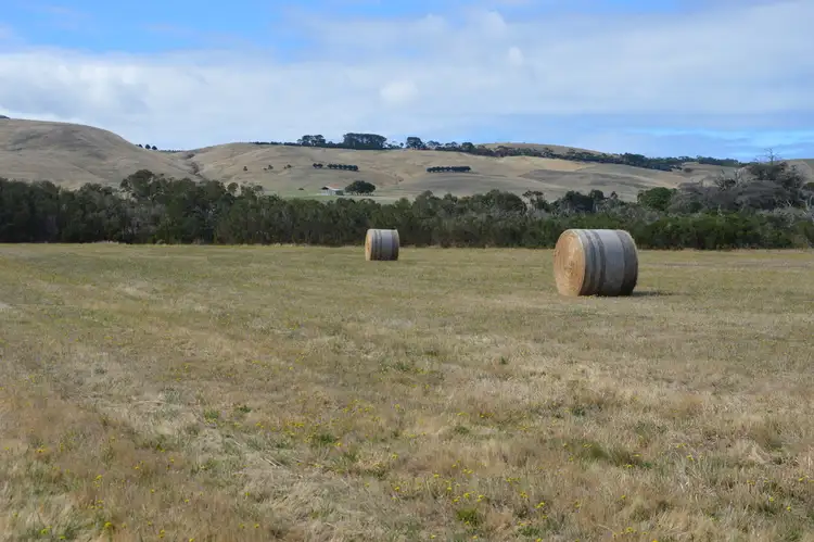 Main view of Homely rural property listing, 00 McGrath Road, Woolamai VIC 3995