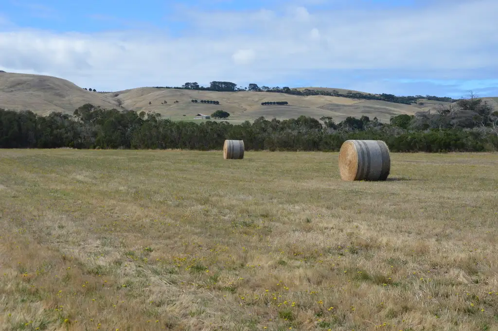 Main view of Homely rural property listing, 00 McGrath Road, Woolamai VIC 3995