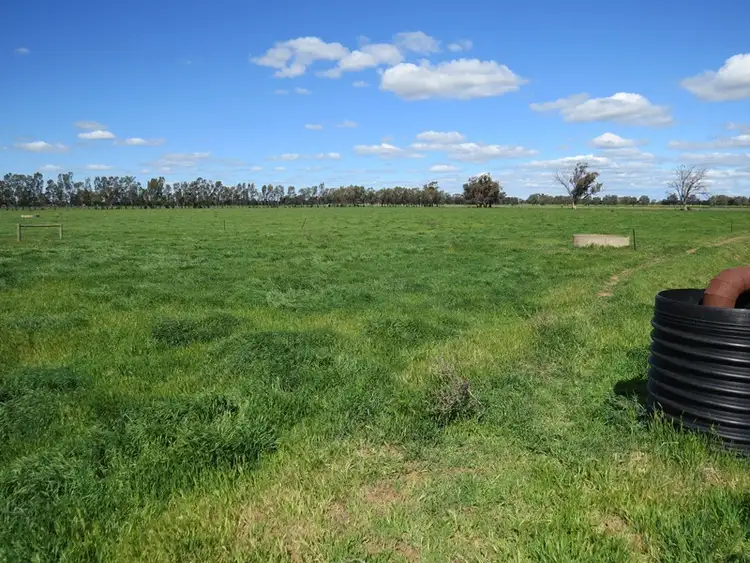 Fourth view of Homely rural property listing, 193 Allens Road, Numurkah VIC 3636