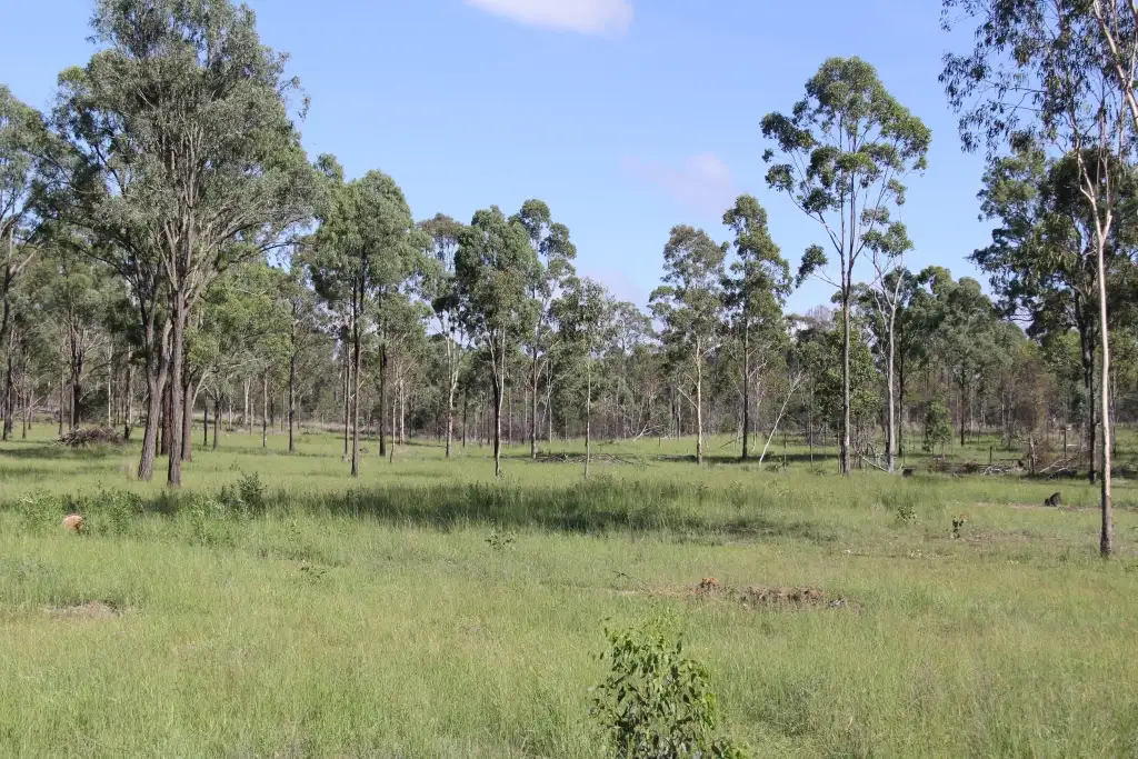 Main view of Homely rural property listing, Address available on request