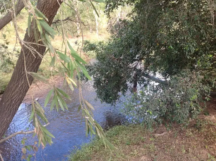 Sixth view of Homely rural property listing, 1000 Six mile road, Proserpine QLD 4800
