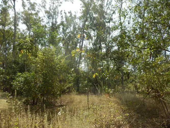Second view of Homely rural property listing, Section 3041 Barramundi Drive, Dundee Downs NT 840