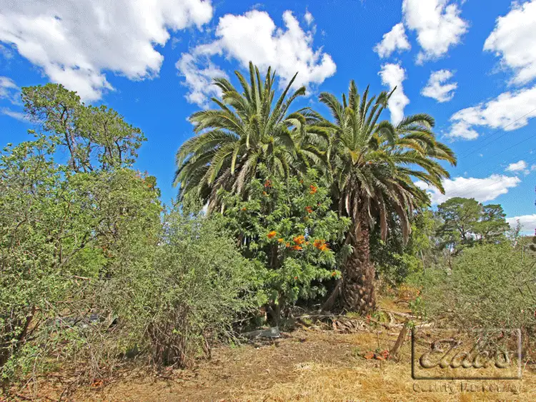 Third view of Homely house listing, 58 Commercial Road, Tarnagulla VIC 3551