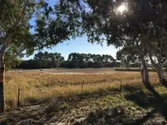 Second view of Homely house listing, 121 King Road, Oakford WA 6121