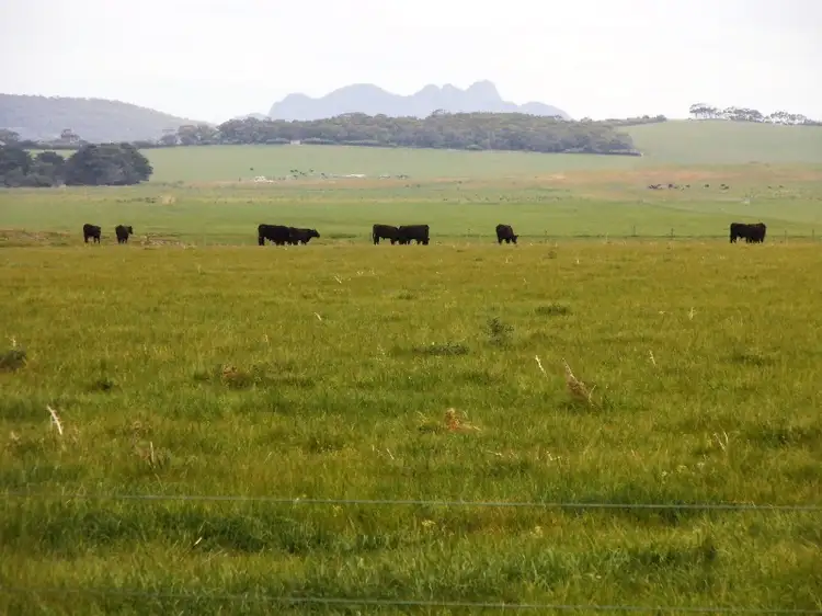 Main view of Homely rural property listing, 1271 Memana Road, Memana, Flinders Island TAS 7255