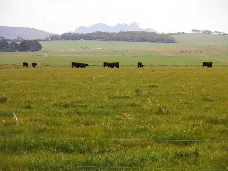 Main view of Homely rural property listing, 1271 Memana Road, Memana, Flinders Island TAS 7255