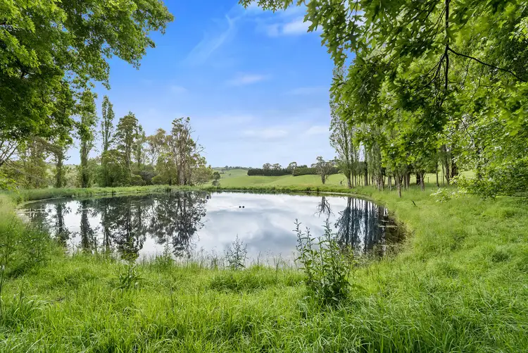 Fourth view of Homely rural property listing, 125 Wilson Road, Arawata VIC 3951