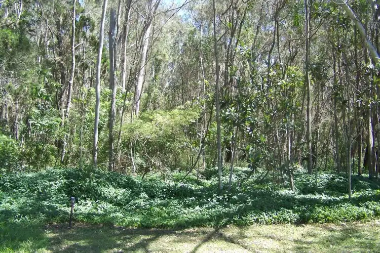 Fourth view of Homely land listing, 4 GOODSELL CRES, Lamb Island QLD 4184