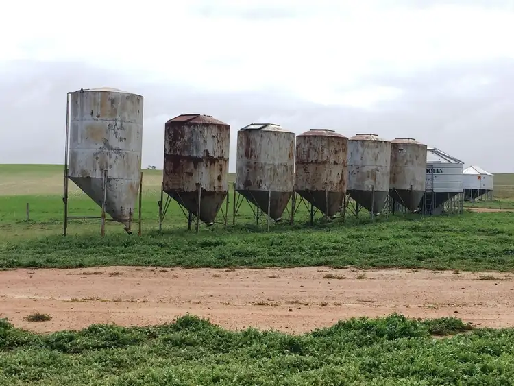 Second view of Homely rural property listing, "Harris" Secs 7, 8 & 27 Hd of Mangalo, Cleve SA 5640