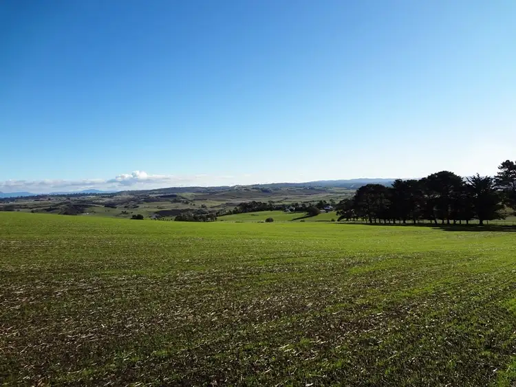 Third view of Homely rural property listing, 195 White Hills Road, White Hills TAS 7258