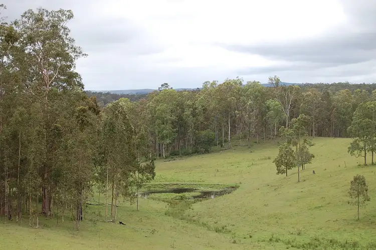 Main view of Homely rural property listing, 1158 Dyraaba Road, Dyraaba NSW 2470
