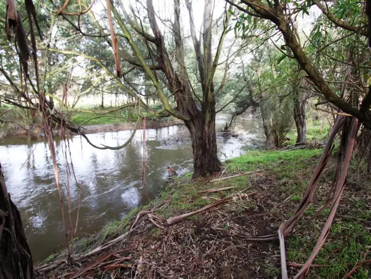 Fourth view of Homely rural property listing, . Traralgon-Maffra Road, Heyfield VIC 3858