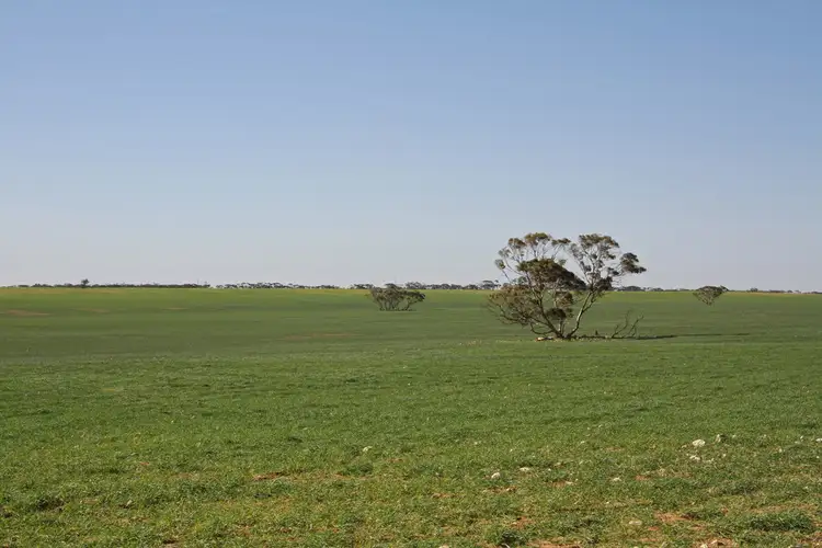 Fifth view of Homely rural property listing, Section 1 Hundred of Holder, Maggea SA 5311