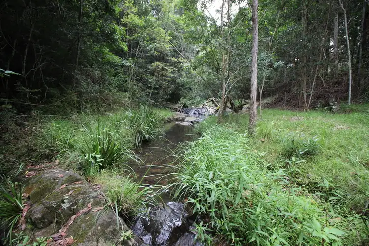 Fourth view of Homely rural property listing, Lot 101 Pappinbarra Rd, Pappinbarra NSW 2446