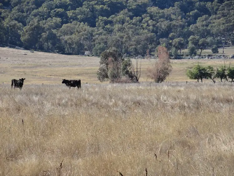 Sixth view of Homely rural property listing, 59 Smiths Lane, Mudgegonga VIC 3737