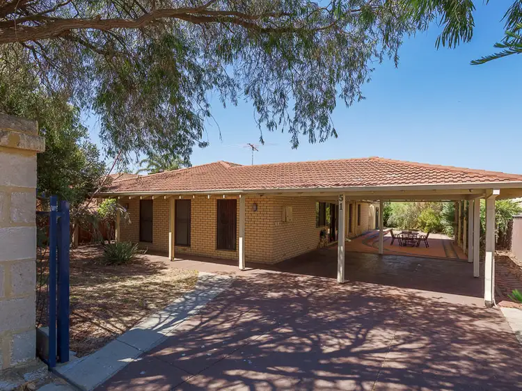 Main view of Homely house listing, 51 Petterson Avenue, Kardinya WA 6163