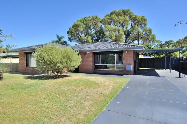 Main view of Homely house listing, 11 Bardoc Court, Hillman WA 6168