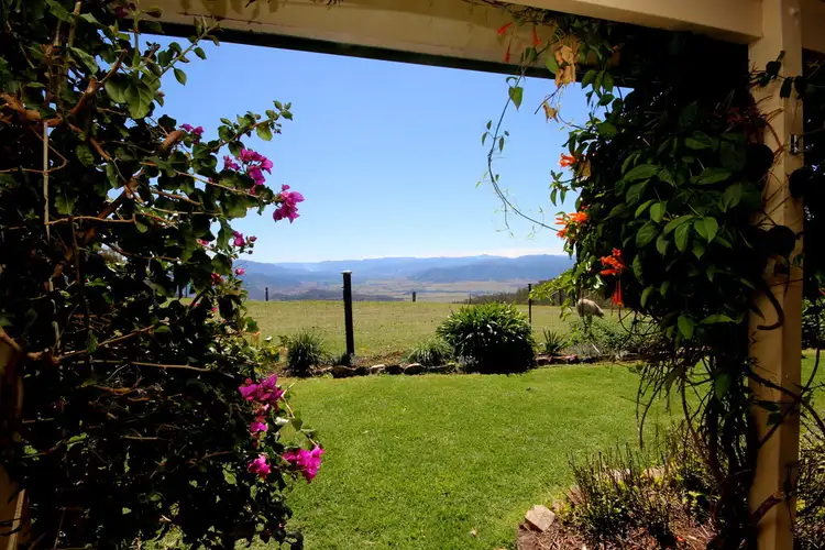 Sixth view of Homely rural property listing, 721 Costigans Road, Yarras NSW 2446