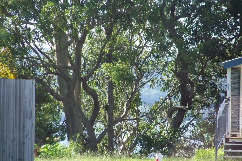 Main view of Homely land listing, 31 LEONIE CRES, Lamb Island QLD 4184