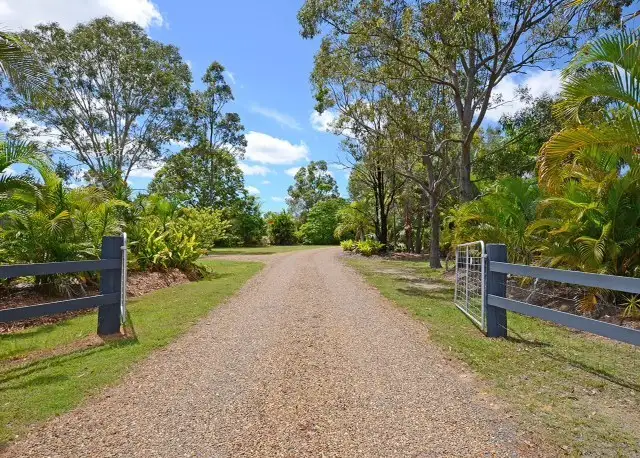 Main view of Homely house listing, 79 Honeyeater Drive, Walligan QLD 4655