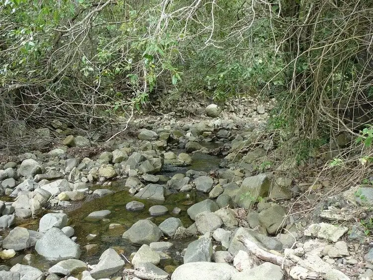 Fourth view of Homely land listing, Lot 40 Miles Road, Sunnyside QLD 4737