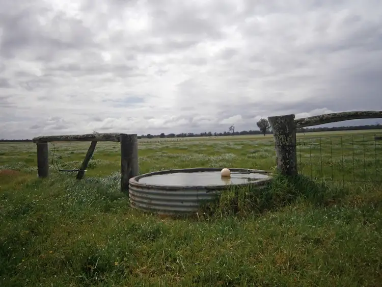 Sixth view of Homely rural property listing, 501 Boyanup Road West, Boyanup WA 6237