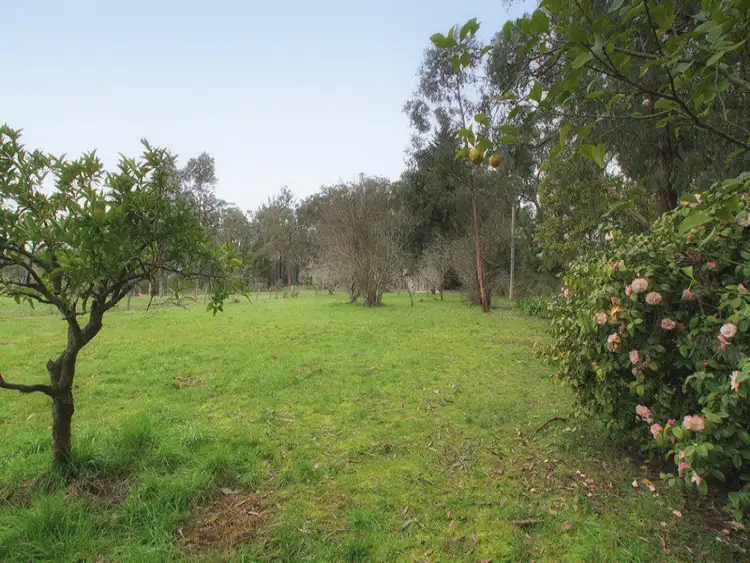 Second view of Homely house listing, 11 Evans Grove, Wandin North VIC 3139