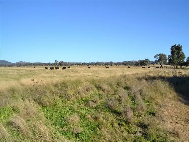 Fifth view of Homely rural property listing, 268 Cooyal Lane, Mudgee NSW 2850