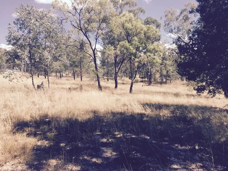 Seventh view of Homely rural property listing, Lot 5 Yarrol Road, Tamworth NSW 2340