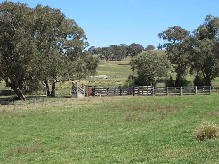 Third view of Homely rural property listing, 63 Prices Lane, Mudgee NSW 2850